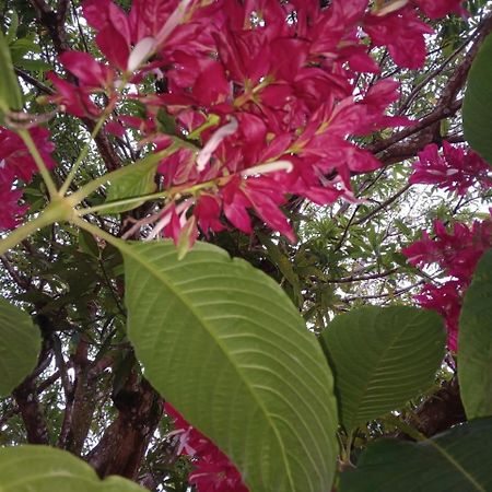 Casa Finca El Rosario San Marcos  Ngoại thất bức ảnh